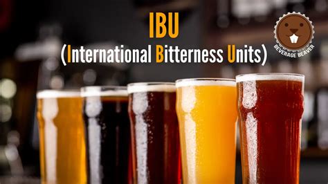 ibu meaning
